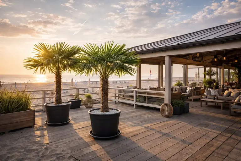 Palmen bij strandpaviljoen bij zonsondergang